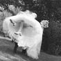 Photos de mariage : Portraits des mari�s